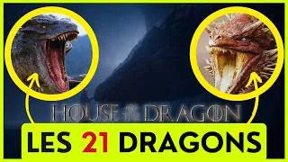 Miniature : TOUT SAVOIR SUR LES DRAGONS DE HOUSE OF THE DRAGON S3