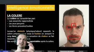 Miniature : Conférence sur l'intelligence émotionnelle