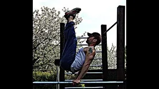 Miniature : 2 years calisthenics progression, 41 years old