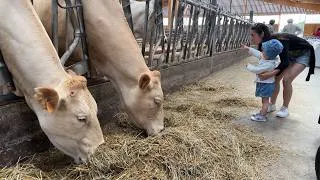 Miniature : À la ferme Lang, les produits locaux se découvrent... et se cuisinent