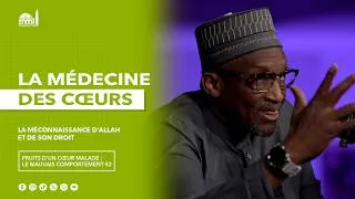 Miniature : La méconnaissance d’Allah et de Son droit
