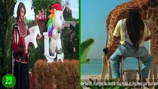 Miniature : QUAND les Pubs sont bizarres (caca licorne, étrange)