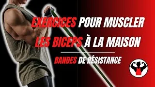 Miniature : Exercices pour muscler les BICEPS à la MAISON (bandes de résistance)