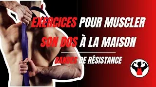 Miniature : Exercices pour muscler le dos à la maison (bande de résistance)