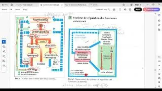 Miniature : SV Biologie Chapitre 15 doc 4  retrocontroles