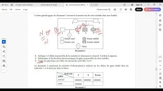 Miniature : transmission d'un caracteres hereditaire
