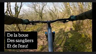 Miniature : Floirac par le GR et rencontre avec 3 sangliers 🐗🐗🐗