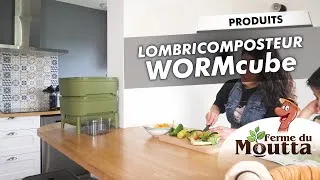 Miniature : Présentation du lombricomposteur WORMcube, recyclez vos déchets même dans un studio ou appartement