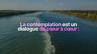 Miniature : Vous êtes les bienvenus ici.  ✨