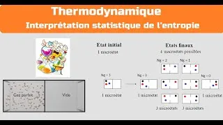 Miniature : Interprétation statistique de l'entropie : Thermodynamique CPGE