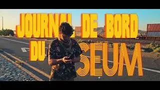 Miniature : Mr. Grincheux - JOURNAL DE BORD DU SEUM
