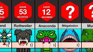 Miniature : Comparaison : Combien de temps tiendrez-vous si vous vous faites mordre par ___ ?