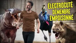 Miniature : 10 Façons Horribles Dont Les Animaux Peuvent Vous Tuer