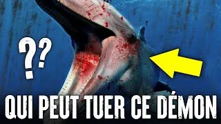 Miniature : 5 Animaux Qui Pourraient Vaincre Un DAUPHIN