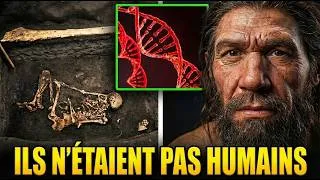 Miniature : L'ADN Ancien Des Néandertaliens Révèle Enfin Une Découverte CHOQUANTE Sur Leurs Vraies Origines
