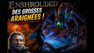 Miniature : DES GROSSES ARAIGNÉES ! Enshrouded ! - FR