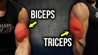 Miniature : LES MEILLEURS ENTRAINEMENT TRICEPS (à la maison)