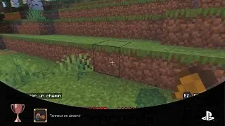 Miniature : Minecraft