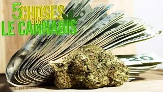Miniature : TOP 5 CHOSES QUE VOUS NE SAVIEZ PAS SUR LE CANNABIS/WEED/MARIJUANA !