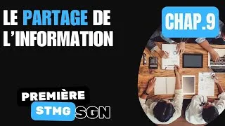 Miniature : Première STMG - SGN - Chapitre 9 - Le partage de l’information