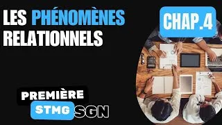 Miniature : Première STMG - SGN - Chapitre 4 - Les phénomènes relationnels