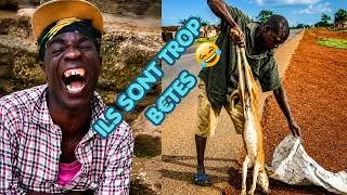 Miniature : Les Vidéos Les plus droles de 2026. Essayez De Ne Pas Rire 🤣🤣