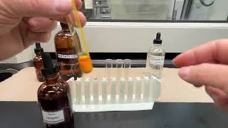 Miniature : Test de détection des aldéhydes et cétones : formation d’hydrazones avec le 2,4-DNPH