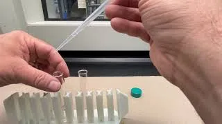 Miniature : Test de détection des halogénoalcanes avec l’ion argent