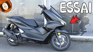 Miniature : Honda PCX 125 DX : le ROI des scooters urbains ? 👑