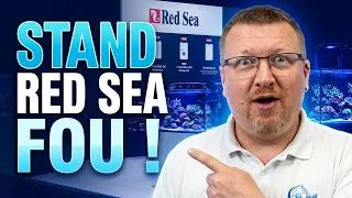 Miniature : Jour 2 Interzoo 2026 – Partie 1/2 Le Stand Red Sea est fou