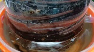 Miniature : 💦Recyclage 💦