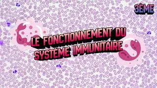 Miniature : 3ème - Le système immunitaire
