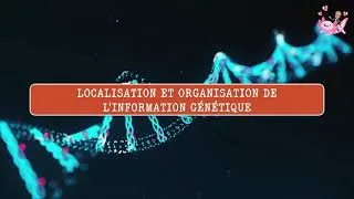 Miniature : Localisation et Organisation de l'information héréditaire