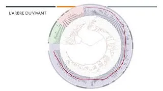Miniature : Histoire de la Terre et Classification des espèces