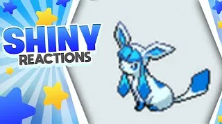 Miniature : Givrali Shiny Live Reaction !