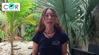 Miniature : Immersion Pitch - 2024 - Camille Duval (COR)