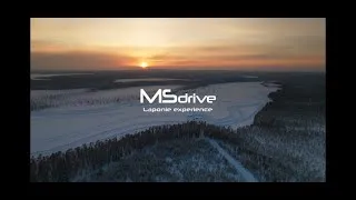 Miniature : MSDrive fête ses 10 ans !!