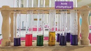 Miniature : Expérience : le jus de chou rouge