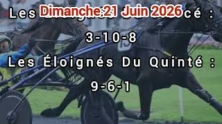 Miniature : Bases Solides à Compiègne PMU Quinté du Dimanche 21 Juin 2026