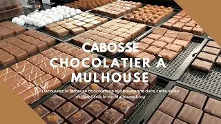 Miniature : Cabosse, l'excellent pâtissier chocolatier de Mulhouse