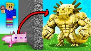 Miniature : J'ai Triché avec le //GÉANT en Build Battle sur Minecraft !