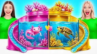 Miniature : Nous Construisons un Aquarium Incroyable Défi Axolotl contre Tortue | Astuces Décoration Faciles