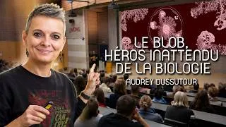 Miniature : Le Blob est-il intelligent ? par Audrey Dussutour