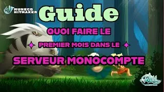 Miniature : Wakfu - Comment Optimiser votre 1er mois sur Ogrest Mono