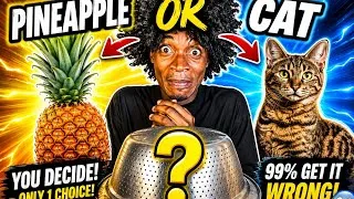 Miniature : pineapple! or cat ? 