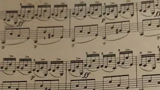 Miniature : Frédéric  Chopin ,Fantaisie impromptu op.66, conseils dernière partie par muriel christiaens 