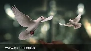 Miniature : "L'Education et la paix" discours de Maria Montessori