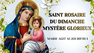 Miniature : 👉 🚨 ROSAIRE DU DIMANCHE (MYSTÈRES GLORIEUX) : Marie agit aujourd’hui, prions ensemble