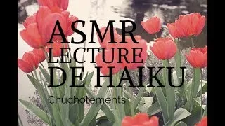 Miniature : ASMR Français Haïkus chuchotés