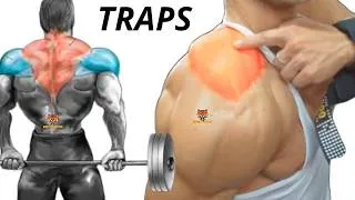 Miniature : 5 BEST TRAPS WORKOUT WITH DUMBBELLS ONLY AT HOME OR AT GYM